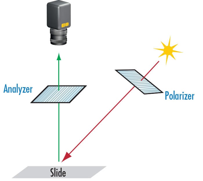 Figure 9: この配置は散乱、グレア、もしくはホットスポットを低減もしくは除去する1つの方法。光源は偏光板によって偏光し、結像する反射光は再度アナライザーによって偏光される。